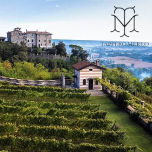 WINE EXPERIENCE