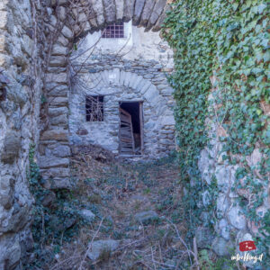CAREMA EXPERIENCE<!--Vigneti Nebbiolo-->