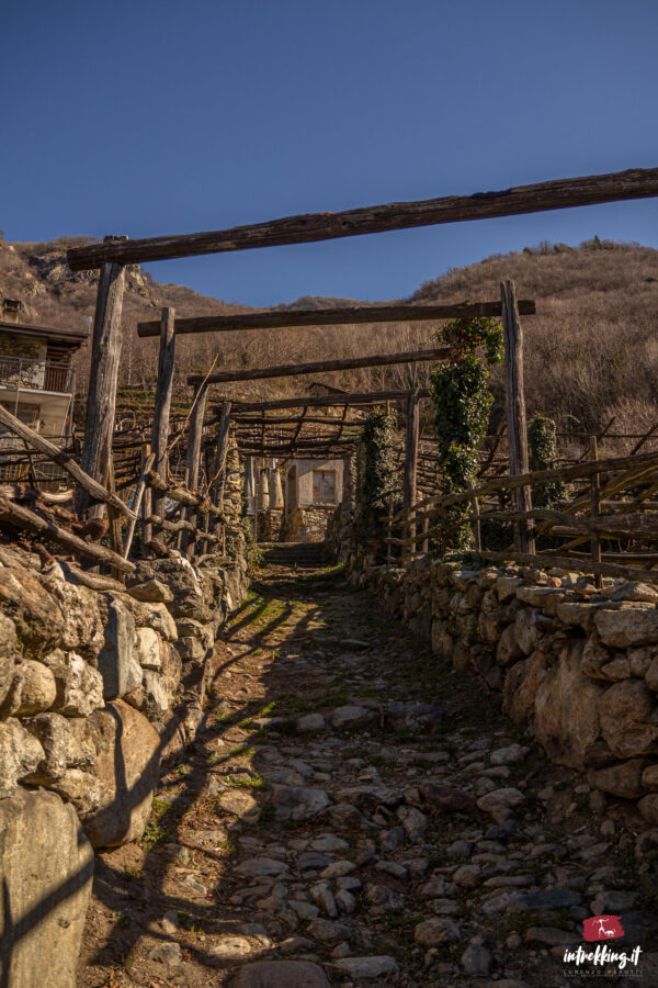CAREMA EXPERIENCE<!--Vigneti Nebbiolo--> - immagine 2