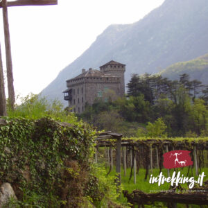 VIA FRANCIGENA EXPERIENCE <!--Tour dei Castelli-->
